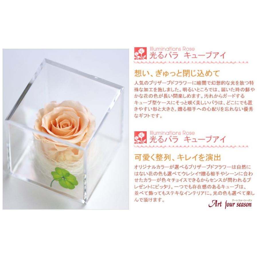 プリザーブドフラワー 四つ葉のクローバー 光るバラ 花 ギフト 誕生日プレゼント 女性 結婚記念日 カーネーション 母の日 ホワイトデー 【キューブ 】 | アートフォーシーズン | 17