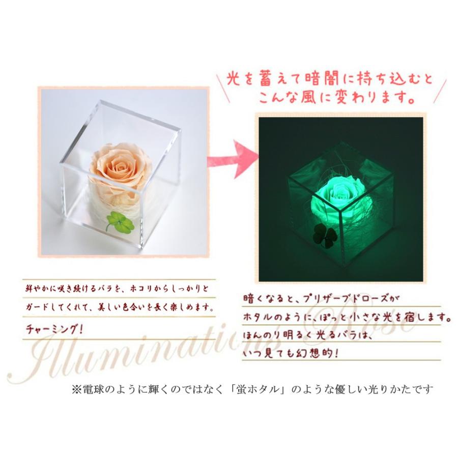 プリザーブドフラワー 四つ葉のクローバー 光るバラ 花 ギフト 誕生日プレゼント 女性 結婚記念日 カーネーション 母の日 ホワイトデー 【キューブ 】 | アートフォーシーズン | 18