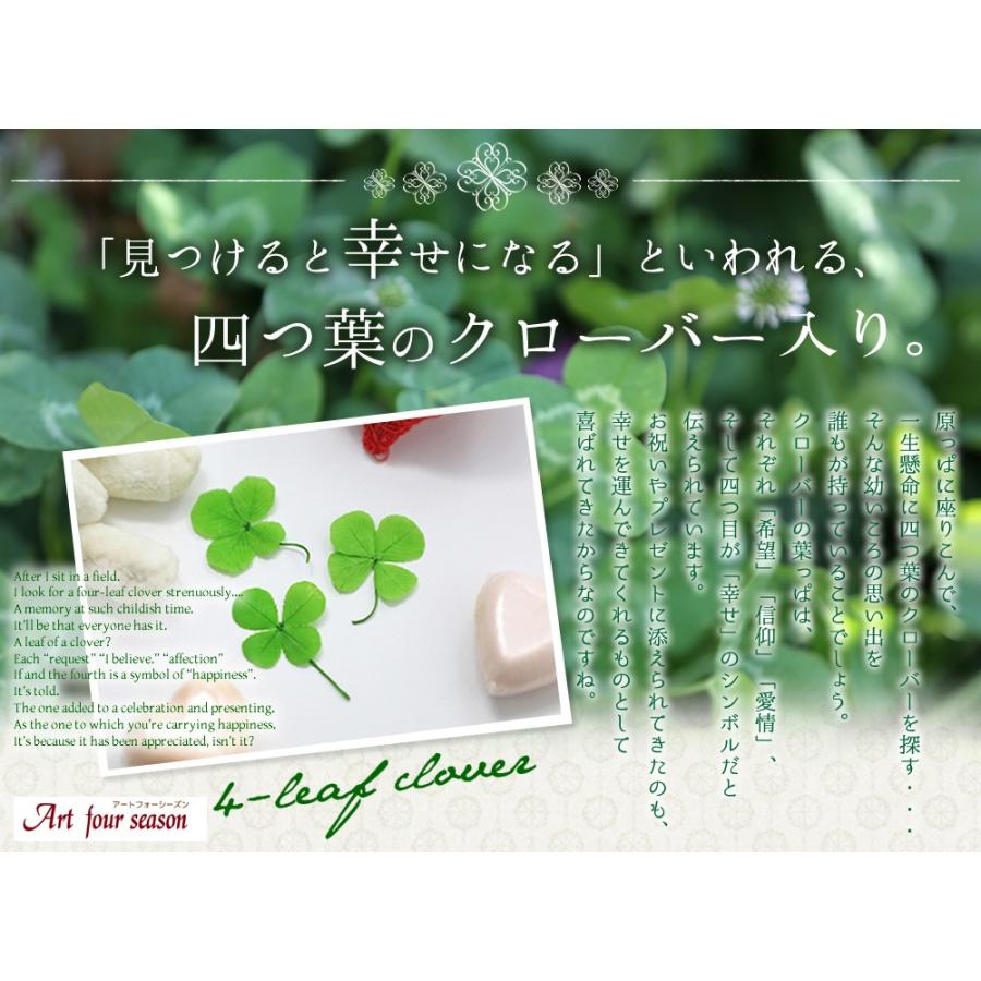 プリザーブドフラワー 四つ葉のクローバー 光るバラ 花 ギフト 誕生日プレゼント 女性 結婚記念日 カーネーション 母の日 ホワイトデー 【キューブ 】 | アートフォーシーズン | 20