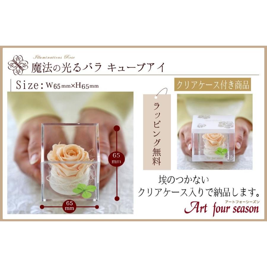 プリザーブドフラワー 四つ葉のクローバー 光るバラ 花 ギフト 誕生日プレゼント 女性 結婚記念日 カーネーション 母の日 ホワイトデー 【キューブ 】 | アートフォーシーズン | 21