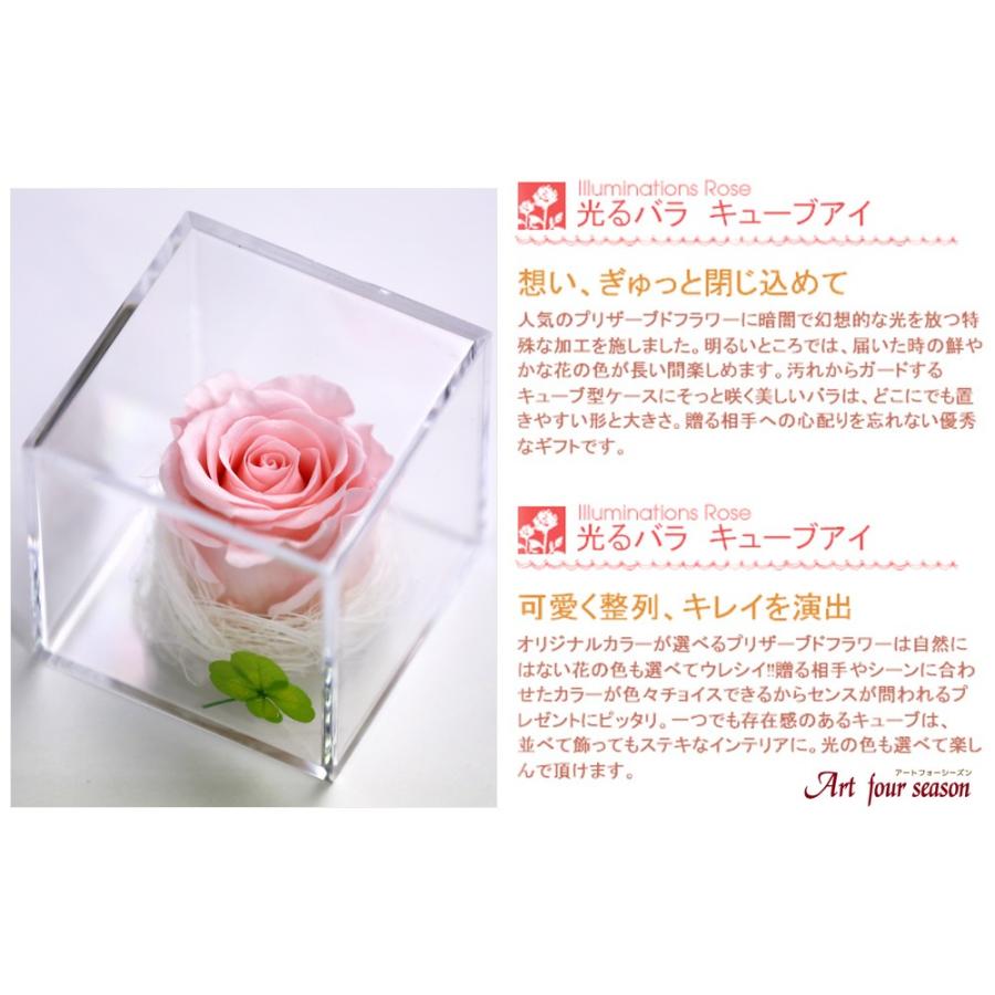 プリザーブドフラワー 四つ葉のクローバー 光るバラ 花 ギフト 誕生日プレゼント 女性 結婚記念日 カーネーション 母の日 ホワイトデー 【キューブ 】 | アートフォーシーズン | 07