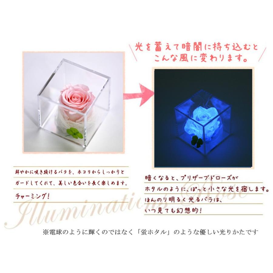 プリザーブドフラワー 四つ葉のクローバー 光るバラ 花 ギフト 誕生日プレゼント 女性 結婚記念日 カーネーション 母の日 ホワイトデー 【キューブ 】 | アートフォーシーズン | 08