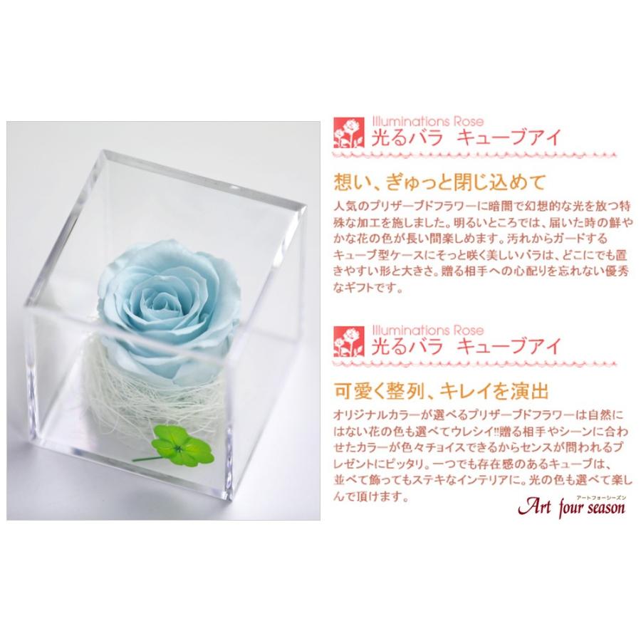 プリザーブドフラワー 四つ葉のクローバー 光るバラ 花 ギフト 誕生日プレゼント 女性 結婚記念日 カーネーション 母の日 ホワイトデー 【キューブ 】 | アートフォーシーズン | 10
