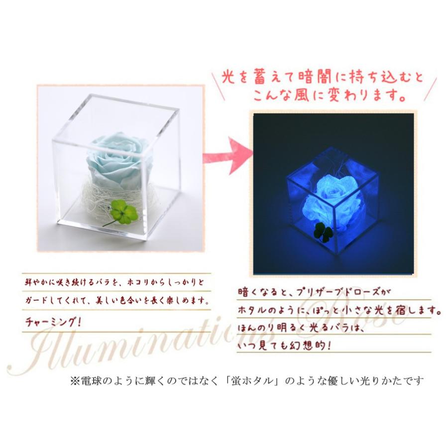プリザーブドフラワー 四つ葉のクローバー 光るバラ 花 ギフト 誕生日プレゼント 女性 結婚記念日 カーネーション 母の日 ホワイトデー 【キューブ 】 | アートフォーシーズン | 11