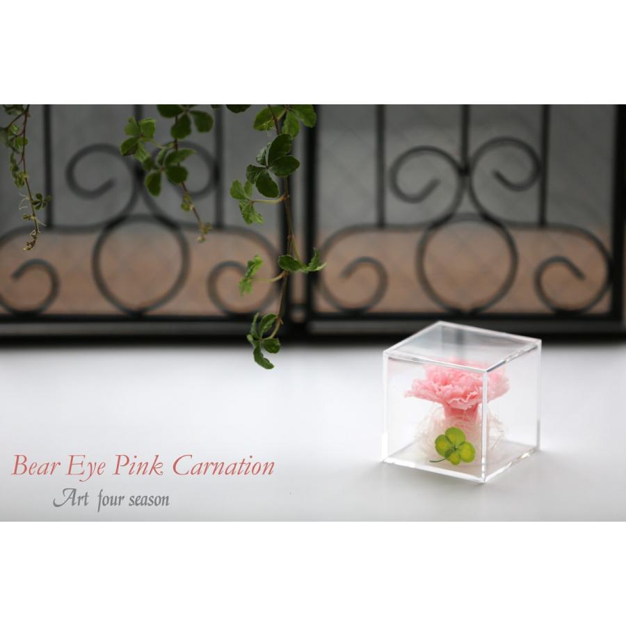 プリザーブドフラワー 四つ葉のクローバー 光るバラ 花 ギフト 誕生日プレゼント 女性 結婚記念日 カーネーション 母の日 ホワイトデー 【キューブ 】 | アートフォーシーズン | 12