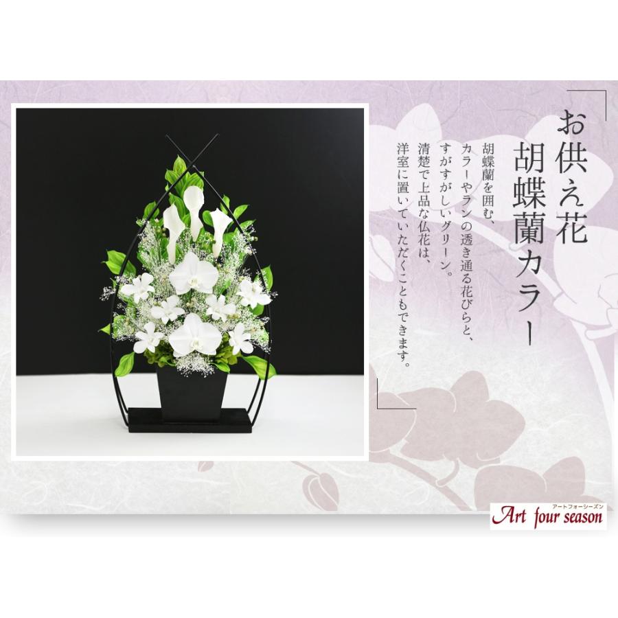 アートフォーシーズン プリザーブドフラワー 仏花 胡蝶蘭 カラー アートフォーシーズン プリザーブドフラワー 仏花 胡蝶蘭 カラー