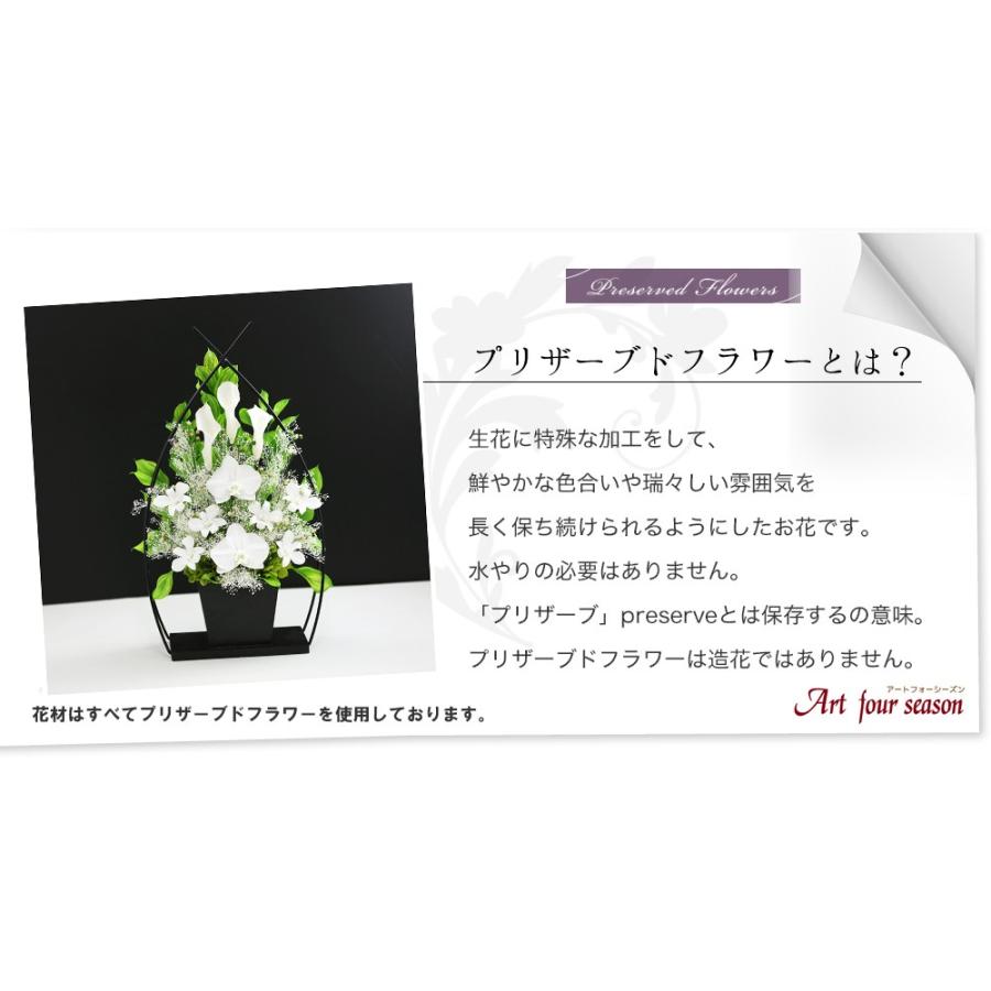 アートフォーシーズン プリザーブドフラワー 仏花 胡蝶蘭 カラー
