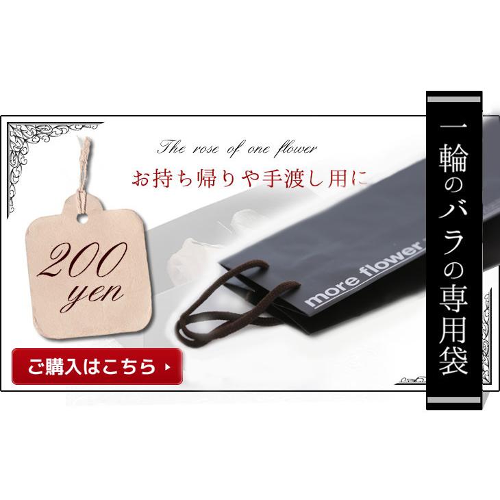 オプション 注：ギフトに付随した商品です。単品ではお売りしておりません。【オプション　有料袋】 | アートフォーシーズン | 03