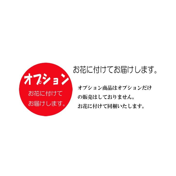 オプション 注：ギフトに付随した商品です。単品ではお売りしておりません。【オプション　有料袋】 | アートフォーシーズン | 06
