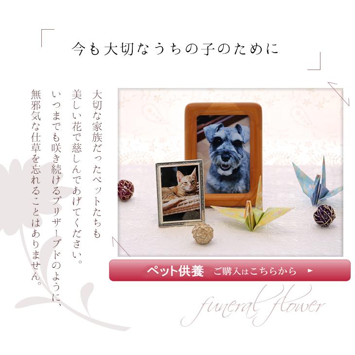 フォトフレーム 写真立て ペット お悔やみ のお花 犬 猫 プリザーブドフラワー 仏花 御供 お供え花 初盆 新盆 ブリザードフラワー 仏壇 【フォトフレーム】 | アートフォーシーズン | 05
