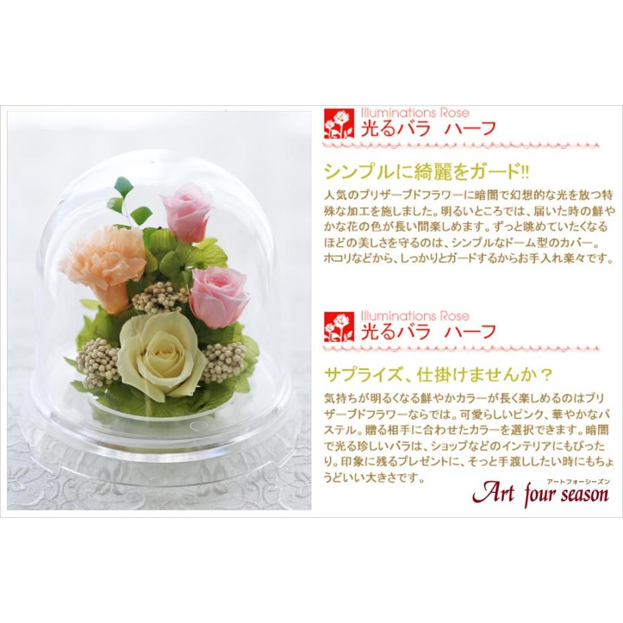 アートフォーシーズン プリザーブドフラワー 花 ギフト 光る バラ 誕生
