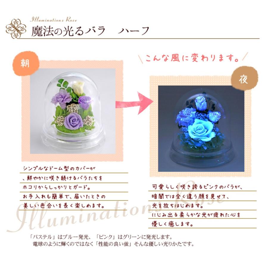 アートフォーシーズン プリザーブドフラワー 花 ギフト 光る バラ 誕生