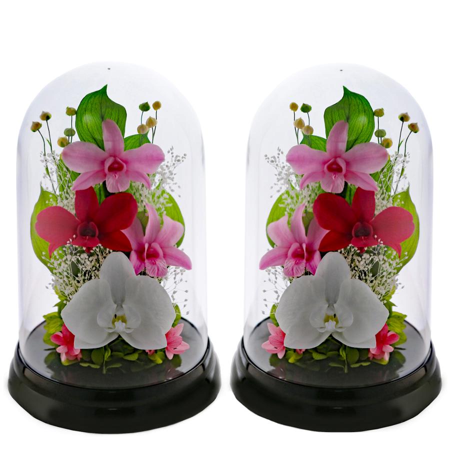 プリザーブドフラワー 仏花 ブリザードフラワ- 仏花 仏壇用 お供え1対 仏花一対 枯れないお花 プリザーブドフラワー ドーム  【対デザイン デンファレドーム 】 | アートフォーシーズン | 04