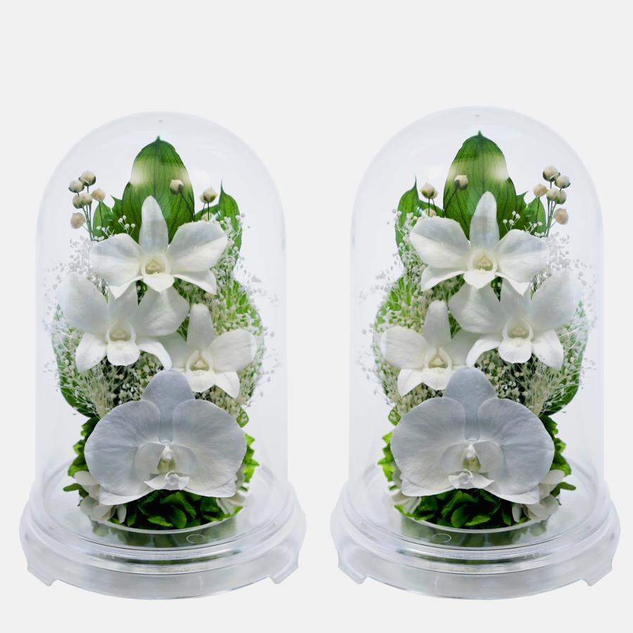 プリザーブドフラワー 仏花 ブリザードフラワ- 仏花 仏壇用 お供え1対 仏花一対 枯れないお花 プリザーブドフラワー ドーム  【対デザイン デンファレドーム 】 | アートフォーシーズン | 08