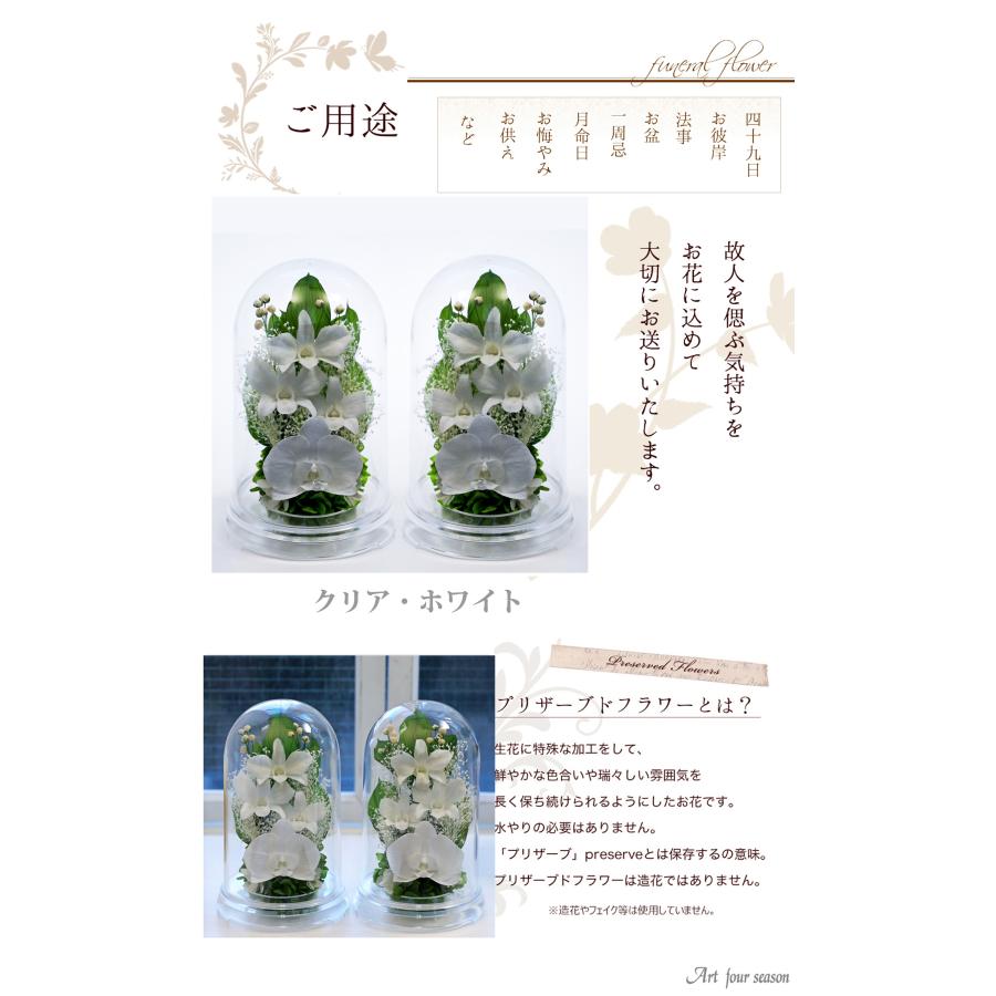 プリザーブドフラワー 仏花 ブリザードフラワ- 仏花 仏壇用 お供え1対 仏花一対 枯れないお花 プリザーブドフラワー ドーム  【対デザイン デンファレドーム 】 | アートフォーシーズン | 09