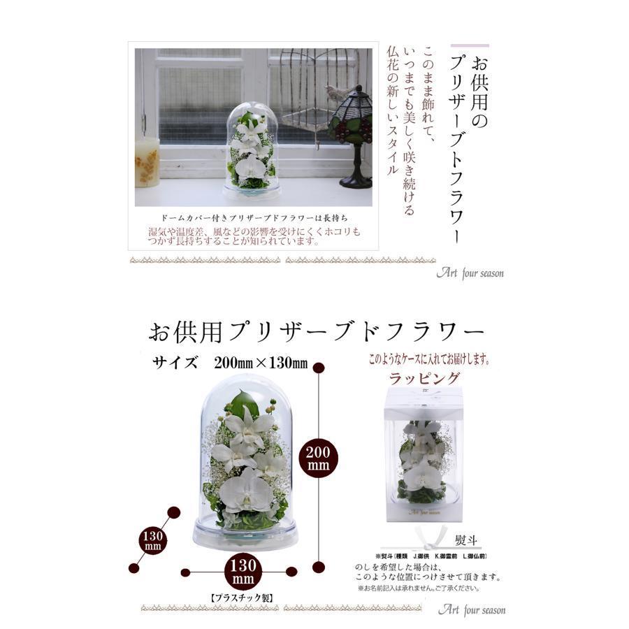 仏花プリザーブドフラワー 仏花 ブリザードフラワ- 仏壇用 お供え花 枯れないお花 プリザーブドフラワー  【デンファレドーム】 | アートフォーシーズン | 15