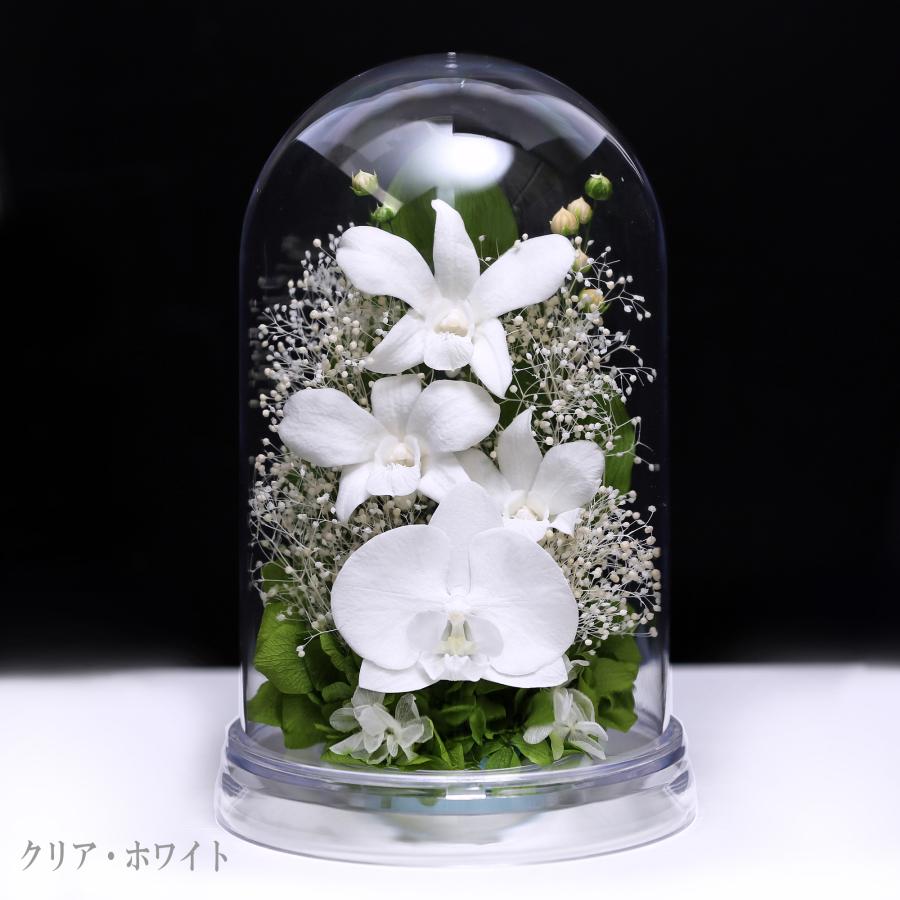 仏花プリザーブドフラワー 仏花 ブリザードフラワ- 仏壇用 お供え花 枯れないお花 プリザーブドフラワー  【デンファレドーム】 | アートフォーシーズン | 12