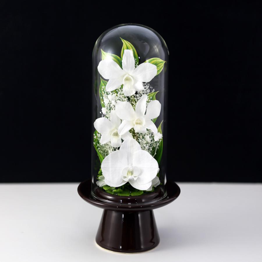 プリザーブドフラワー 胡蝶蘭 Glass 初盆 新盆 仏花 ガラス ドーム お供え花 ブリザードフラワー お悔やみ 花 法事 お彼岸 法要 弔電 アレンジメント :KGD-7101:アートフォーシーズン - 通販 - Yahoo!ショッピング プリザーブドフラワー 胡蝶蘭 Glass 初盆 新盆 仏花 ガラス ドーム お供え花 ブリザードフラワー お悔やみ 花 法事 お彼岸 法要 弔電 アレンジメント :KGD-7101:アートフォーシーズン - 通販 - Yahoo!ショッピング