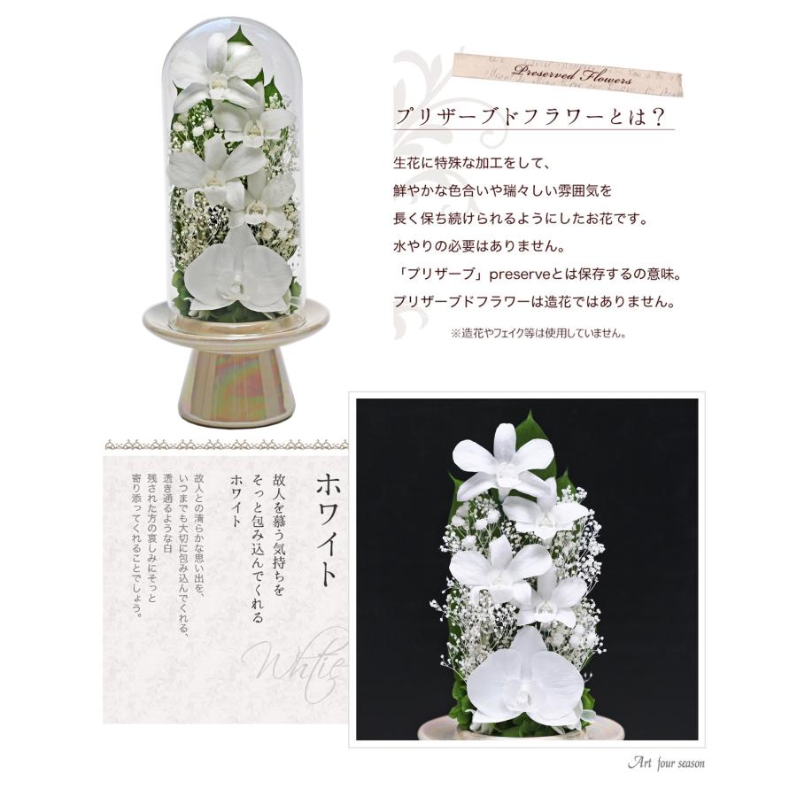 プリザーブドフラワー 仏花 ガラス お供え花 ブリザードフラワー 花 法事 アレンジメント フラワーギフト 新盆 初盆 アートフォーシーズン【胡蝶蘭Glass】 | アートフォーシーズン | 06