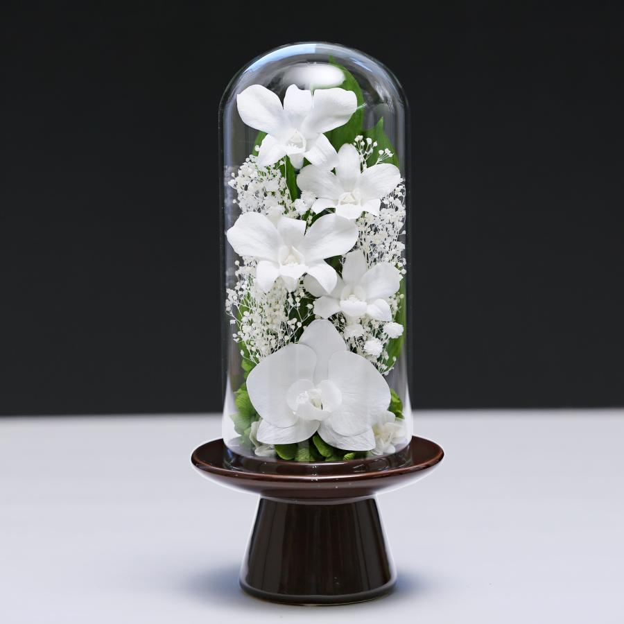 プリザーブドフラワー 仏花 ガラス お供え花 ブリザードフラワー 花 法事 アレンジメント フラワーギフト 新盆 初盆 アートフォーシーズン【胡蝶蘭Glass】 | アートフォーシーズン | 10