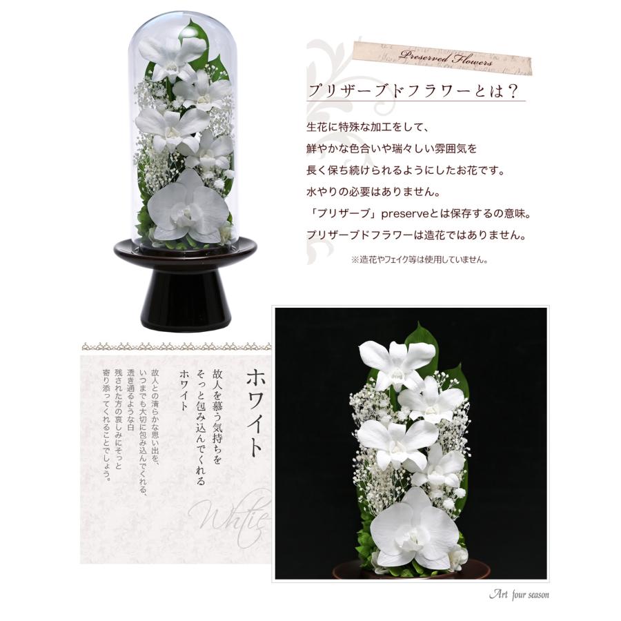 プリザーブドフラワー 仏花 ガラス お供え花 ブリザードフラワー 花 法事 アレンジメント フラワーギフト 新盆 初盆 アートフォーシーズン【胡蝶蘭Glass】 | アートフォーシーズン | 11
