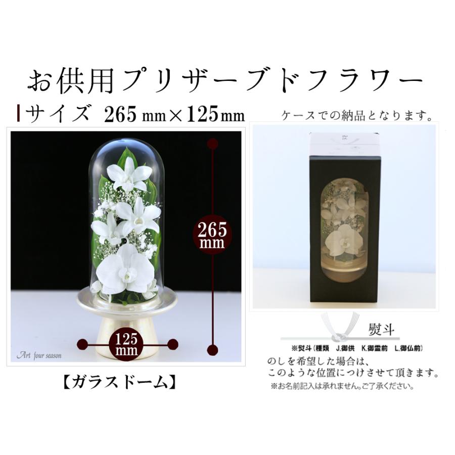 仏花 対デザインset 胡蝶蘭 Glassdome プリザーブドフラワー お供え花 新盆 仏壇用 一対 ブリザードフラワー 花 初盆 初七日 お盆 法要 弔電 花束 アレンジメント 台座 白系 対デザイン胡蝶蘭glass Www Bollywoodpapa Com