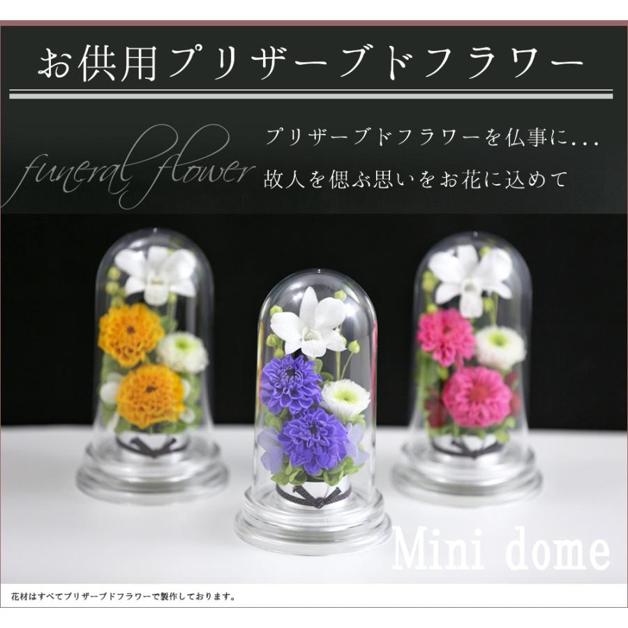 1284円 予約 初盆 新盆 仏花 Miniお供え花 ミニドーム プリザーブドフラワー お供え花 ミニ仏壇用 ブリザードフラワー 仏壇 法事 初七日 お彼岸 法要 弔電