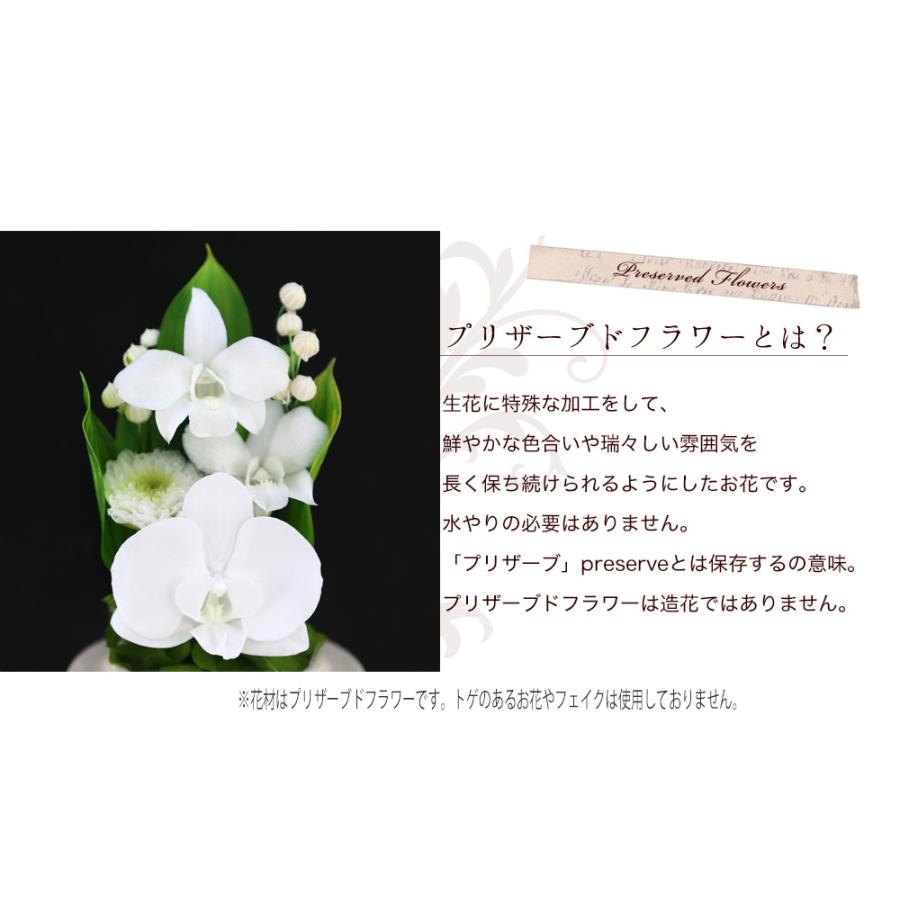 仏花 プリザーブドフラワー お供え 1対 仏壇用  御供 プリザーブドフラワー 白 花 新盆 初盆 アートフォーシーズン 【対デザイン Mini胡蝶蘭glass】 | アートフォーシーズン | 09