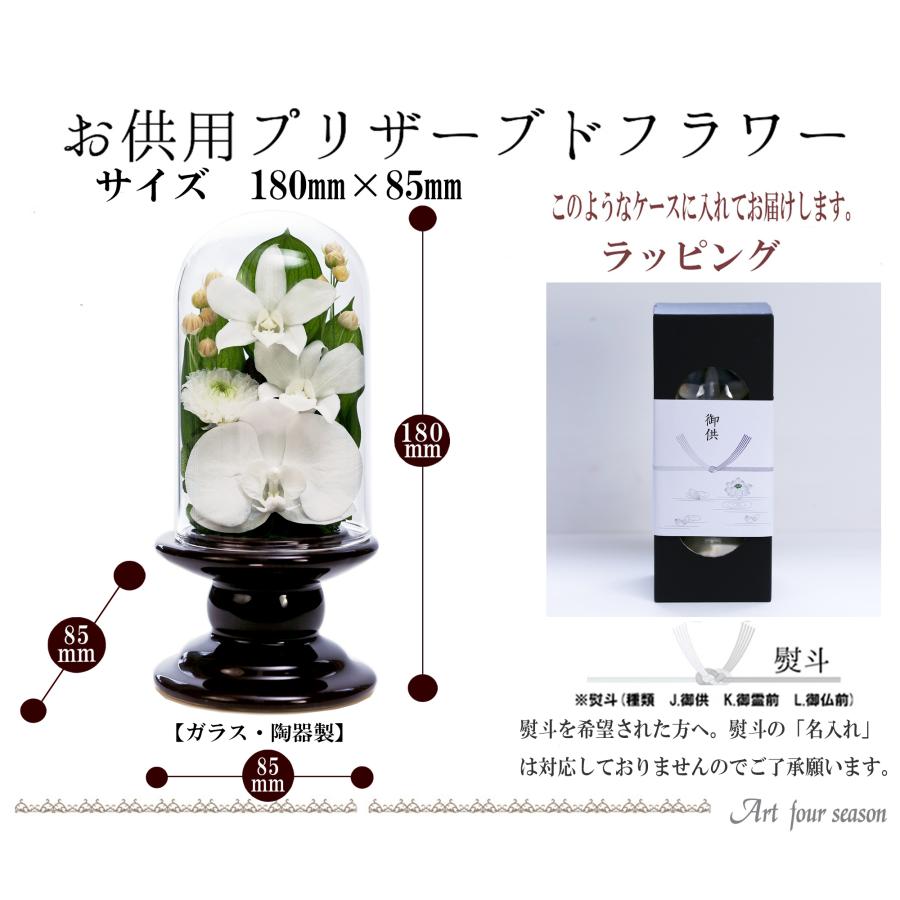 アートフォーシーズン プリザーブドフラワー 仏花 ミニ 胡蝶蘭 ガラス