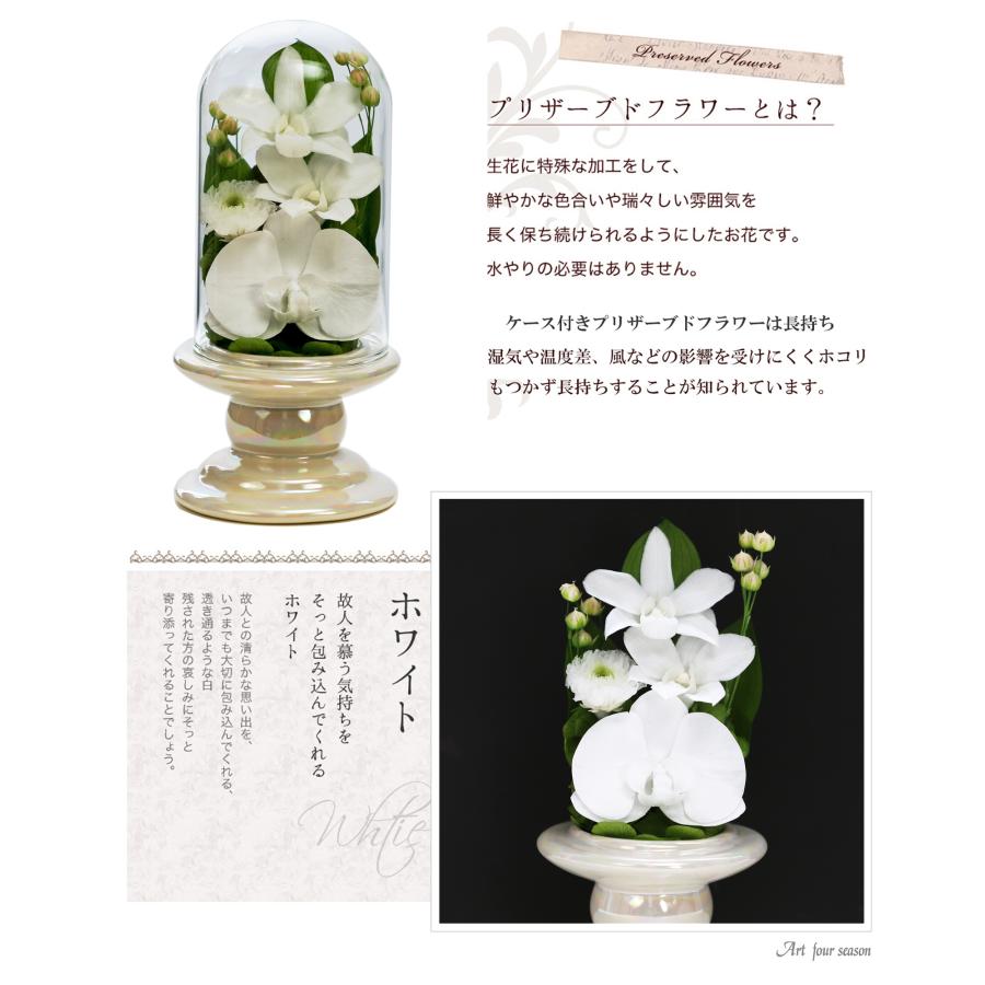 アートフォーシーズン プリザーブドフラワー 仏花 ミニ 胡蝶蘭 ガラス