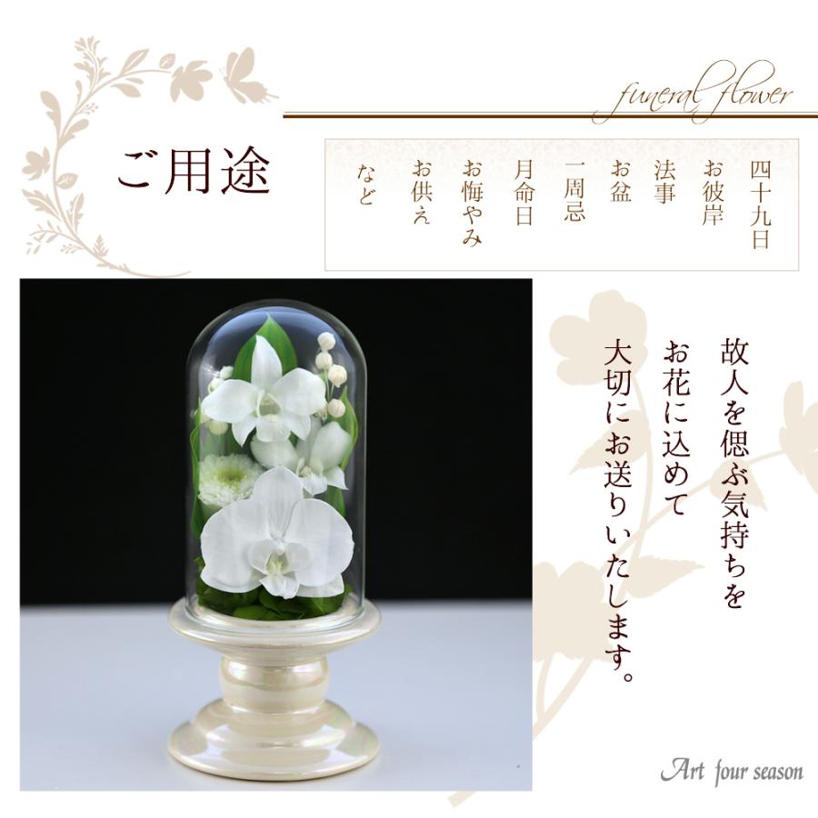 プリザーブドフラワー 仏花 ミニ 胡蝶蘭 ガラスドーム お供え花 仏壇用 ミニ仏壇用 お悔やみ 法事 新盆 初盆 アートフォーシーズン【Mini胡蝶蘭glass】 | アートフォーシーズン | 06