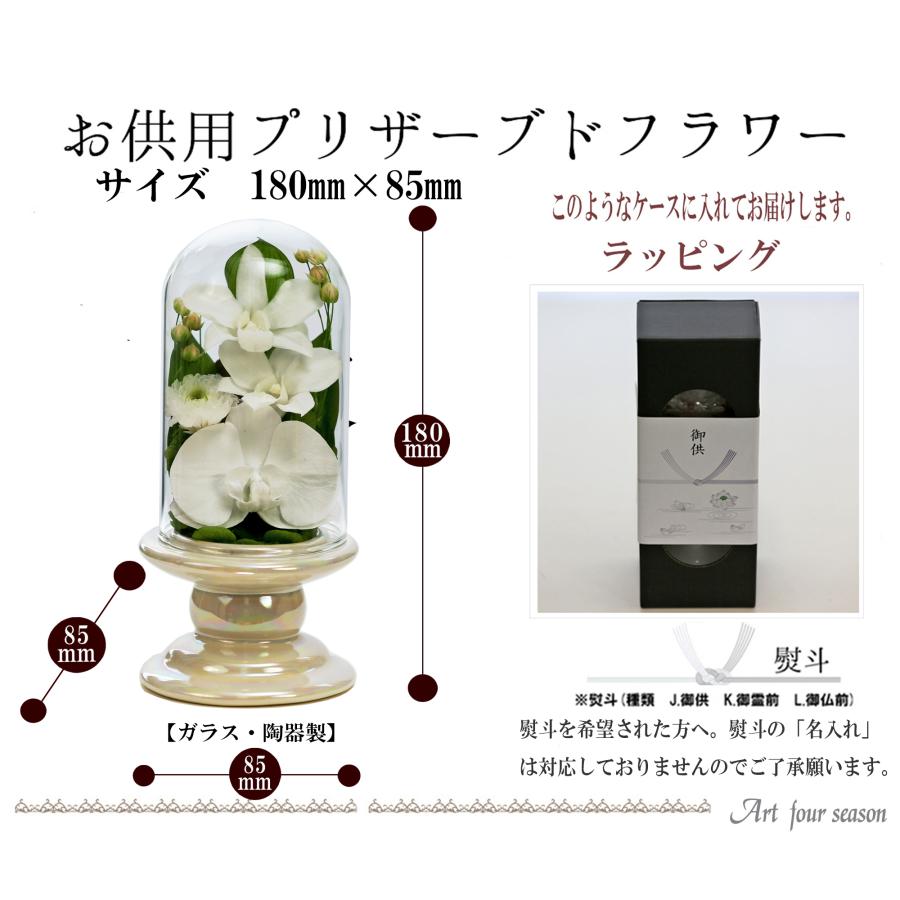 アートフォーシーズン プリザーブドフラワー 仏花 ミニ 胡蝶蘭 ガラス