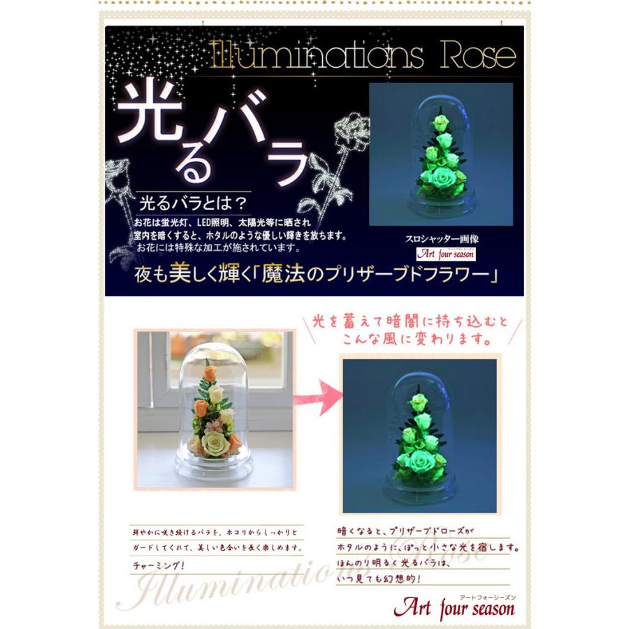 記念日 プリザーブドフラワー 誕生日プレゼント 花 ギフト 光るバラ 結婚記念日 女性  還暦 退職 フラワーギフト 母の日 ホワイトデー 【光ローズアイ】 | アートフォーシーズン | 14