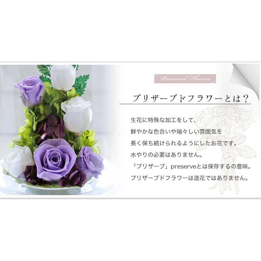 記念日 プリザーブドフラワー 誕生日プレゼント 花 ギフト 光るバラ 結婚記念日 女性  還暦 退職 フラワーギフト 母の日 ホワイトデー 【光ローズアイ】 | アートフォーシーズン | 17