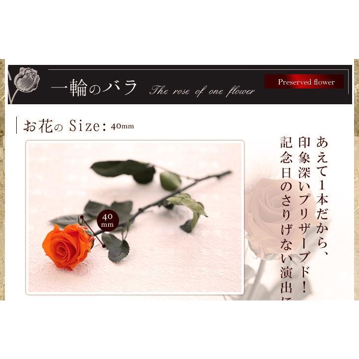 アートフォーシーズン プリザーブドフラワー セット ギフトセット