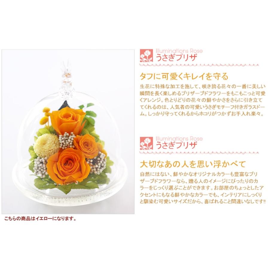 アートフォーシーズン プリザーブドフラワー 誕生日プレゼント 結婚