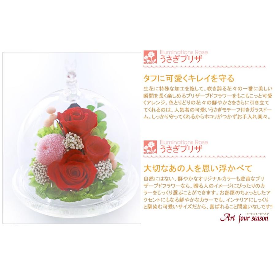 プリザーブドフラワー 誕生日 プレゼント うさぎプリザ 結婚記念日 誕生日プレゼント 還暦祝い 女性 ギフト 退職祝い 結婚祝い アレンジメント :YYY-50:アートフォーシーズン - 通販 - Yahoo!ショッピング プリザーブドフラワー 誕生日 プレゼント うさぎプリザ 結婚記念日 誕生日プレゼント 還暦祝い 女性 ギフト 退職祝い 結婚祝い アレンジメント :YYY-50:アートフォーシーズン - 通販 - Yahoo!ショッピング