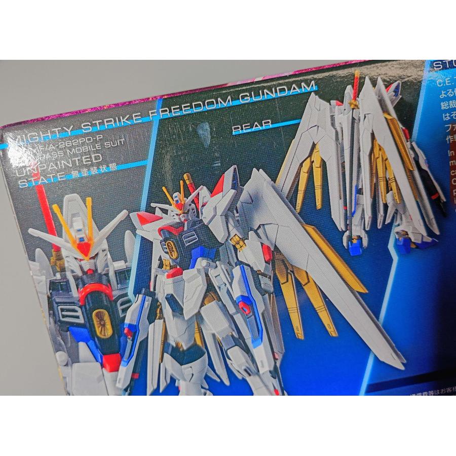 BANDAI（バンダイ） 【外箱すれ商品】バンダイスピリッツ 2679242 HGCE