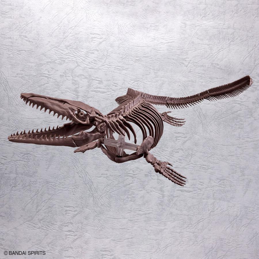 【外箱しわ、傷商品】バンダイスピリッツ 5065428 Imaginary Skeleton 1/32 モササウルス｜aaa-ibaraki｜11