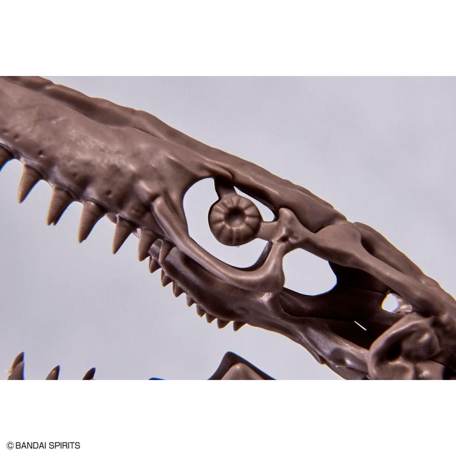 【外箱しわ、傷商品】バンダイスピリッツ 5065428 Imaginary Skeleton 1/32 モササウルス｜aaa-ibaraki｜07