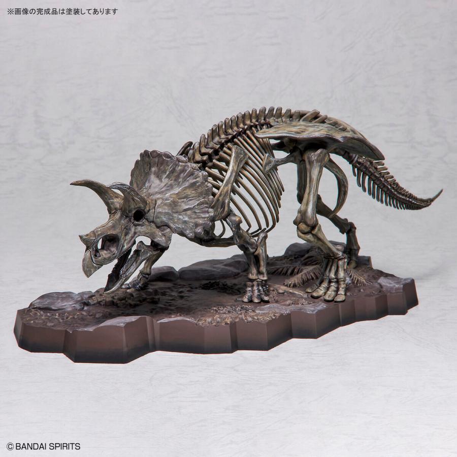 バンダイスピリッツ 5061801 Imaginary Skeleton 1/32 トリケラトプス｜aaa-ibaraki｜10