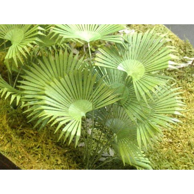 和巧 A-33 紙創り ジオラマアクセサリー ビロウヤシ 無着色