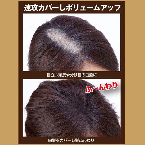 利尻と椿のPONヘアパウダー ダークブラウン 白髪隠し トップラボ