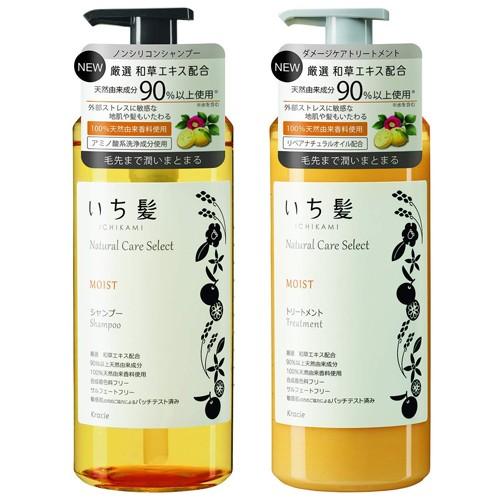 いち髪 ナチュラルケアセレクト モイスト シャンプー トリートメント ポンプ セット A A Shop 通販 Paypayモール