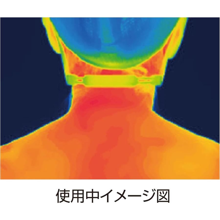 ピップ エレキバン ネックバンド フリーサイズ 1個入　管理医療機器 ポスト投函 |  | 07