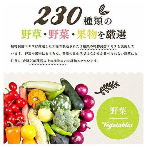 送料無料 プレミアム生酵素 大容量 200粒 100日分 : A&A SHOP 食品館