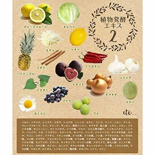 送料無料 プレミアム生酵素 大容量 200粒 100日分 : A&A SHOP 食品館