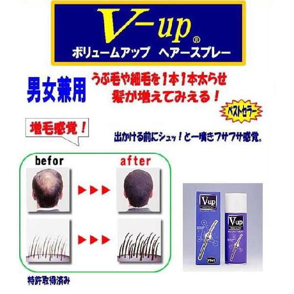 毛髪の悩みに！ボリュームアップヘアスプレー200g　　色：ブラック |  | 01