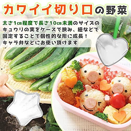 きゅうりの型 形成 星型 ハート型 野菜 飾り デコレーション デコ弁 キャラ弁 家庭菜園 自由研究 実験｜aalso｜05