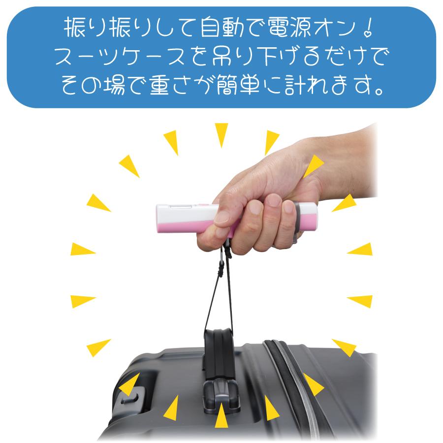 Siffler（シフレ） サンリオキャラクターズ ハローキティ ラゲッジ